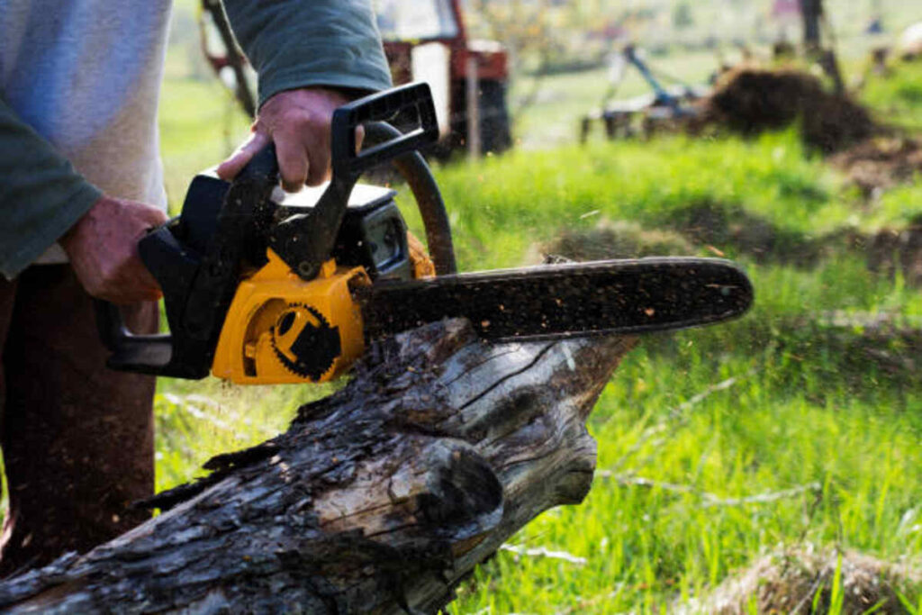 tree service cupertino ca