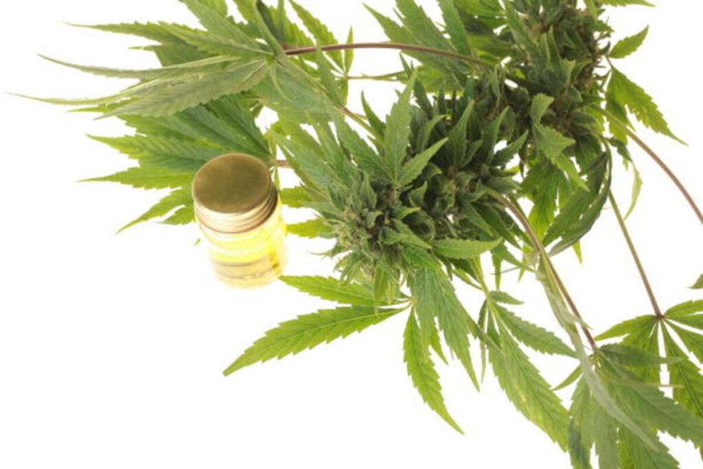 Using White Elephant Kratom